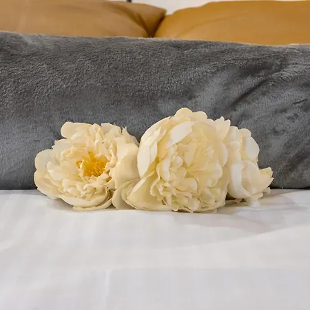 - Rustic Style Flat * Pisa